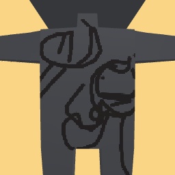 new costume