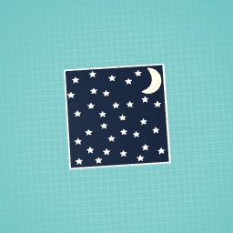 The night sky!