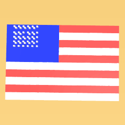 U.S.A Flag
