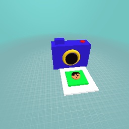 Tada! The perfection camera!