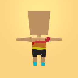 the swimsuit/home outfit