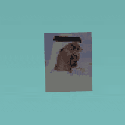 mohamed bn zayed