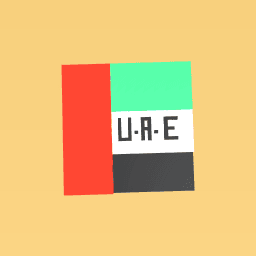 u.a.e flag