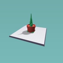 plant