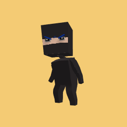 Ninja