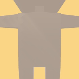 new costume