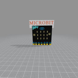 Microbit