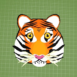 Realistic 2D Tiger Face!