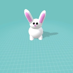 Bunny