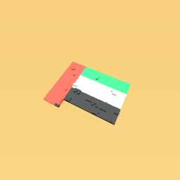 UAE flag