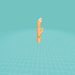 Real hands
