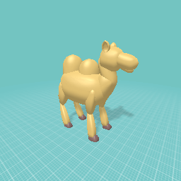 camel