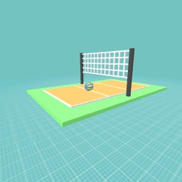 Volleyball Court