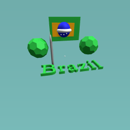 The Brazil Flag