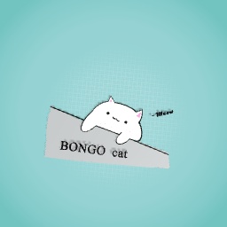 Bongo cat