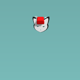 New hat for cat