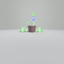 Relaxing Flowers