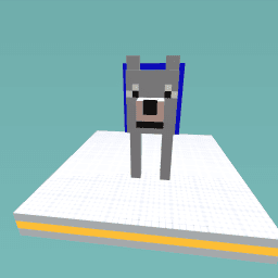 My minecraft dog buscuit