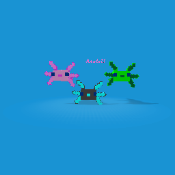 Axolotl