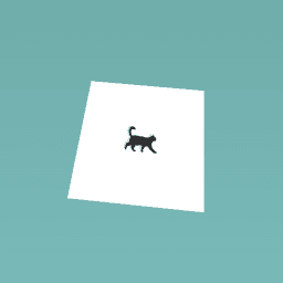 BLACK CAT