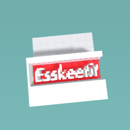 Esskettit