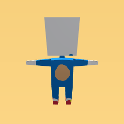 sonic constume