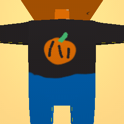 Pumpkin hallaween costume.