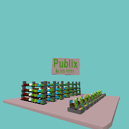 Checkout at Publix