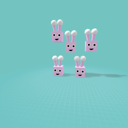 Rabbit