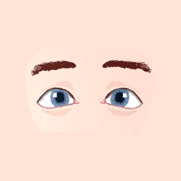 Eyes with eye brows