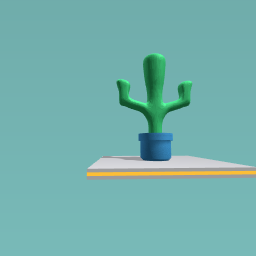 king cacti