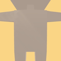 new costume