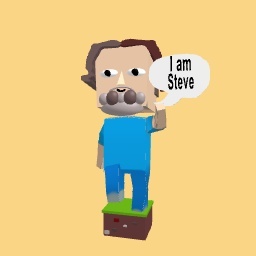I am Steve
