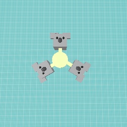 My koala