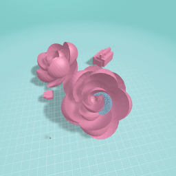 aseel aseel meera meera