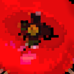 Did a rose