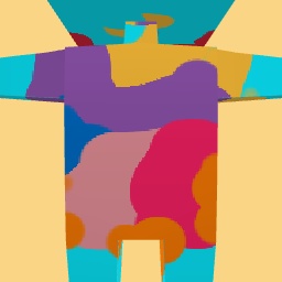 new costume