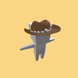 Cowboy hat!