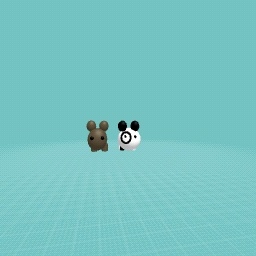Brown bear And panda