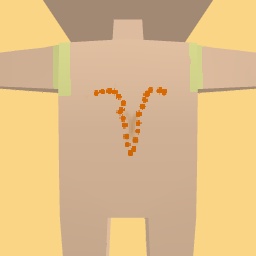 new costume