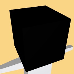 Black box