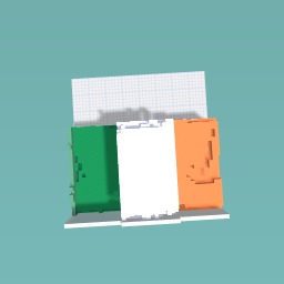 The Irish Flag!