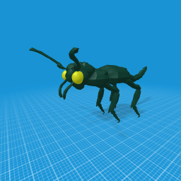 bug