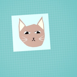 Cat drawing