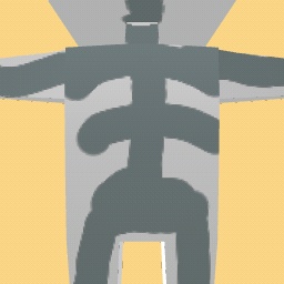 new costume