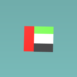 UAE FLAG