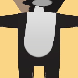 new costume