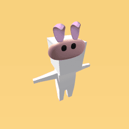the cute rabbit