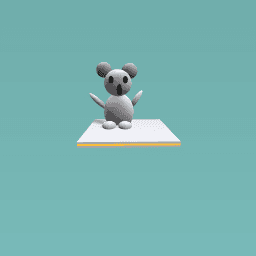 Koala!