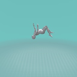 BackFlip